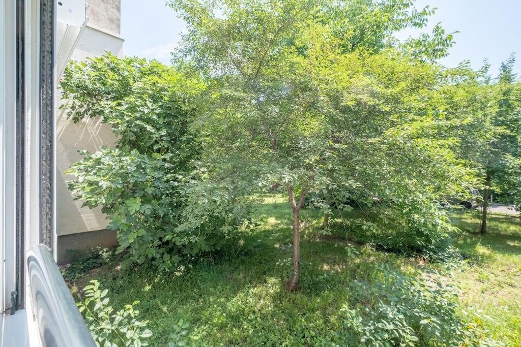 Top Location, Brand New 3 Bdrm Apt & Free Parking София Екстериор снимка